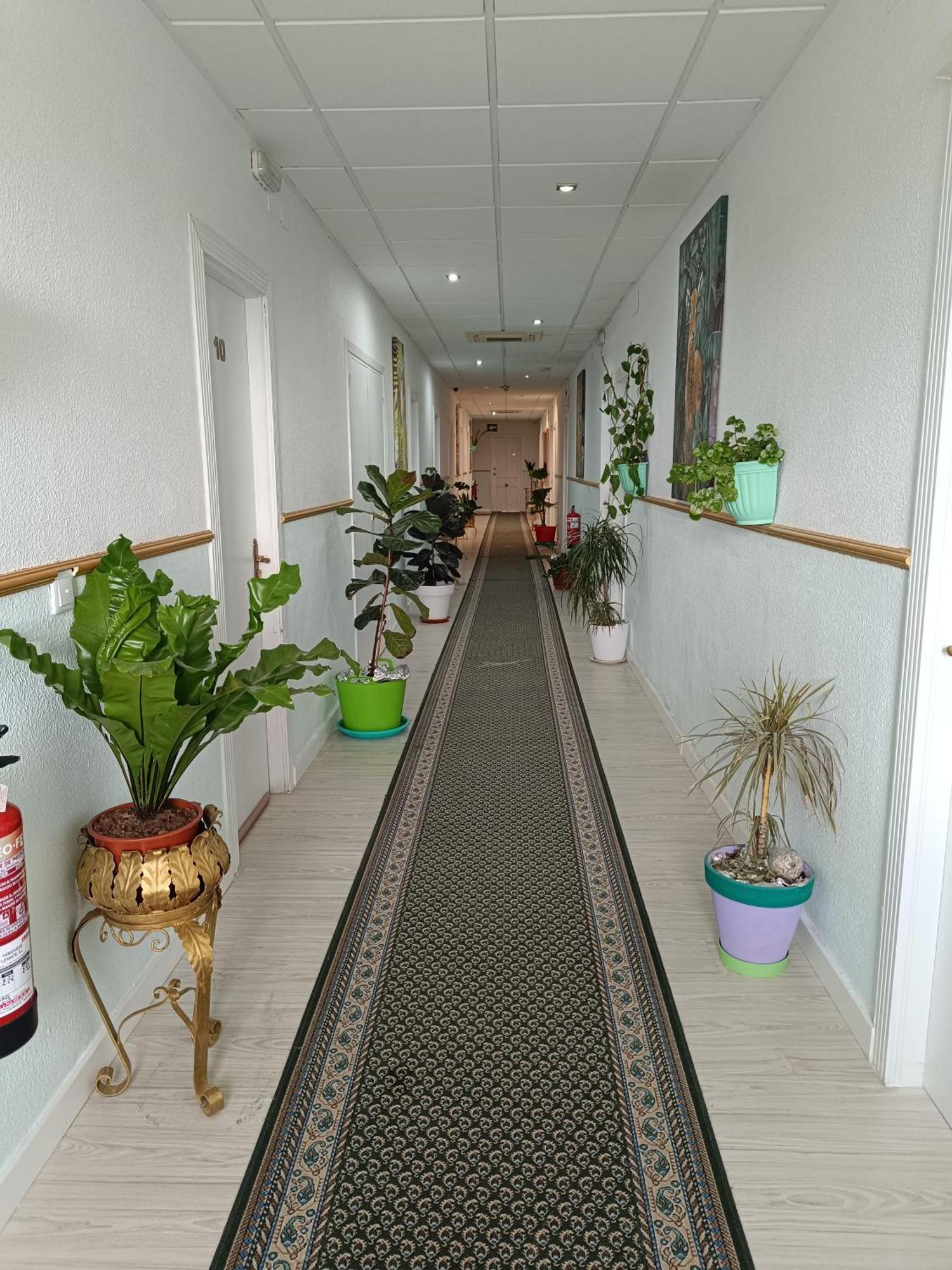 חומייה Hostal Fuente Del Pino מראה חיצוני תמונה