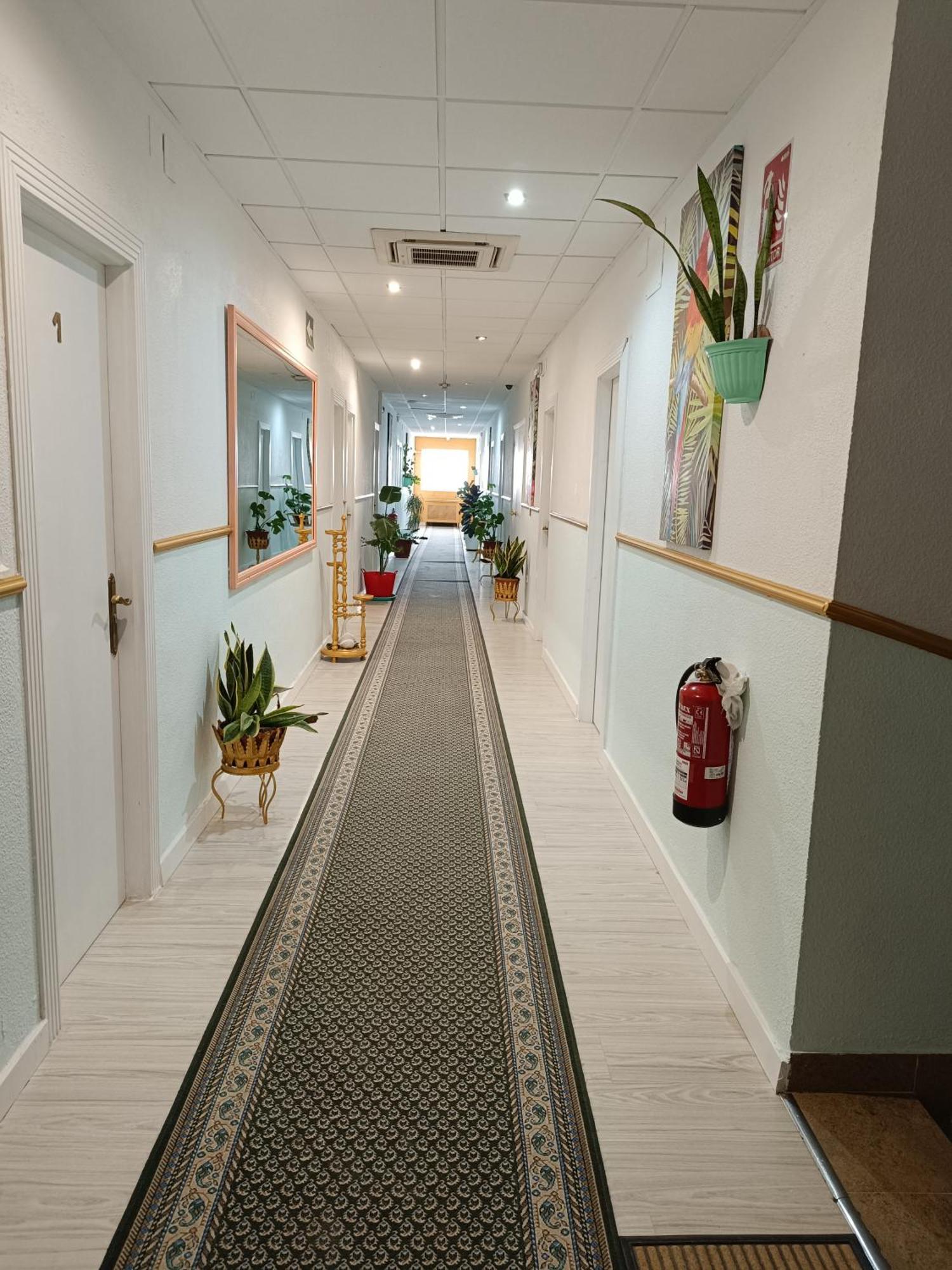 חומייה Hostal Fuente Del Pino מראה חיצוני תמונה